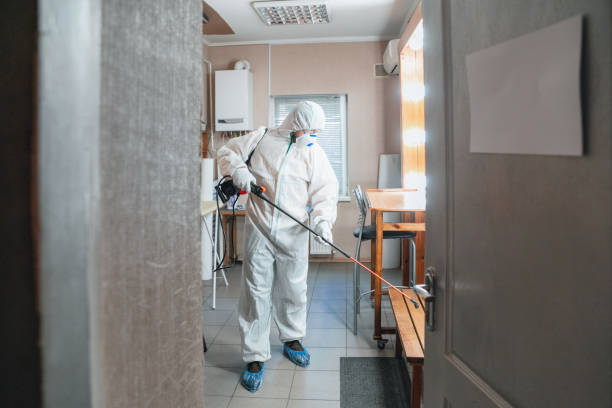 Best Mold Odor Removal Services  in Slatington, PA