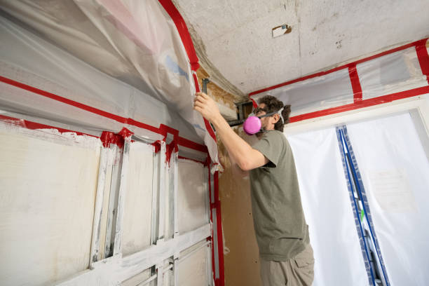 Mold Documentation for Insurance Claims in Slatington, PA