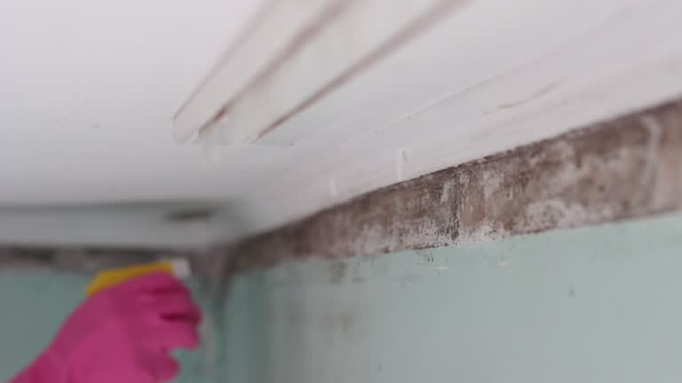 Best HVAC Mold Inspection and Cleaning  in Slatington, PA